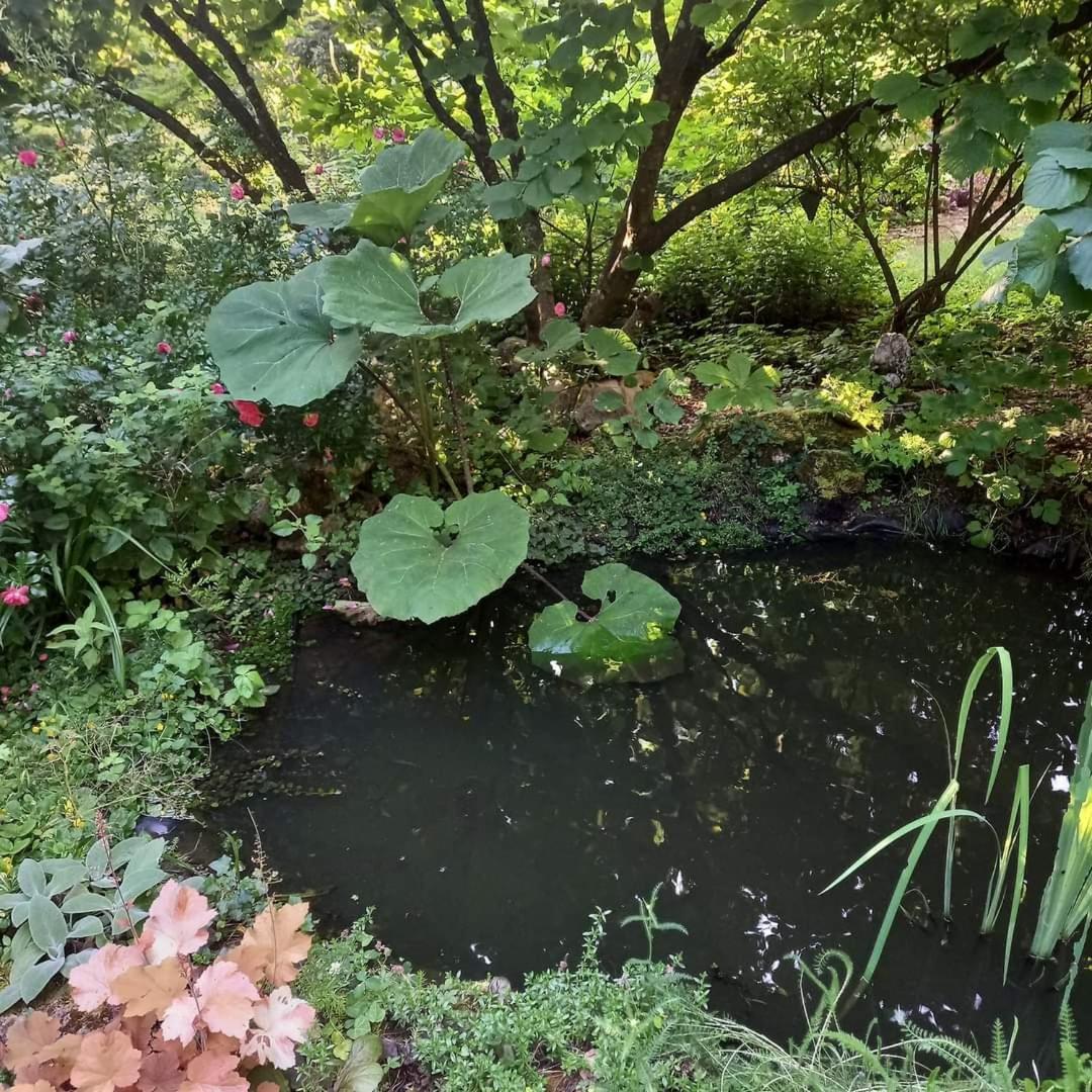 La Haie A Cerf Watronville Exteriér fotografie