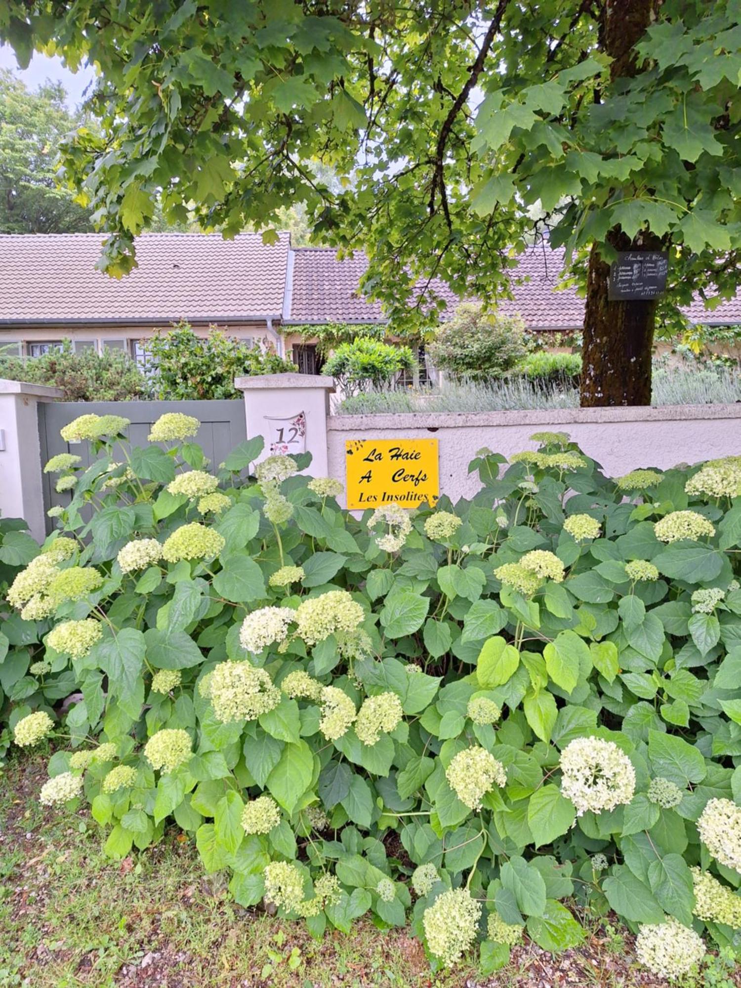 La Haie A Cerf Watronville Exteriér fotografie